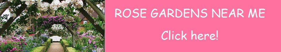 rose-gardens-near-me