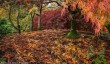 2024-wildside-autumn-colours.jpg