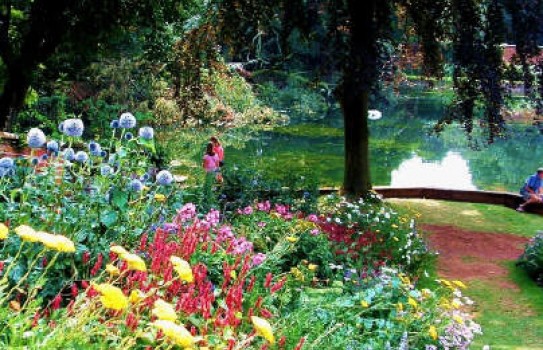 Upton House Garden