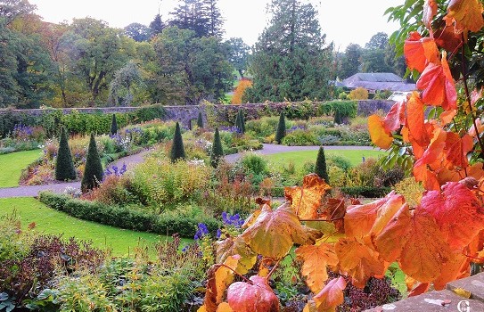 Aberglasney Gardens