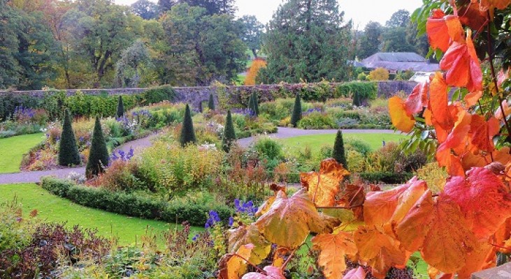 Aberglasney Gardens