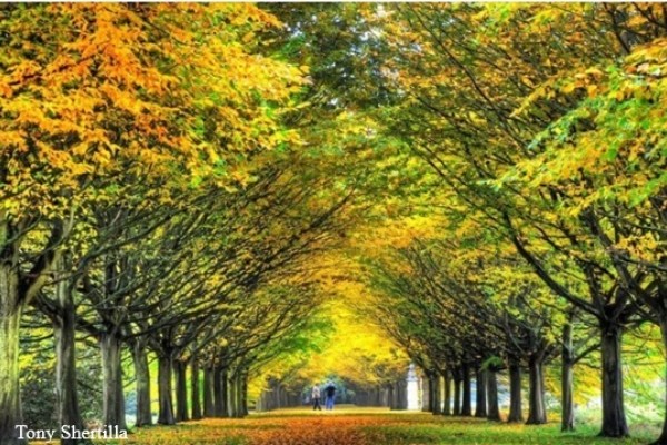 Anglesey Abbey Gardens in Autumn