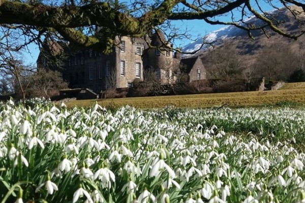 Ardkinglas Woodland Snowdrops