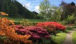 ardmaddy-gardens-scotland.jpg