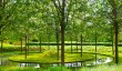ascott-gardens.jpg