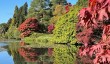 autumn-colours-sussex.jpg