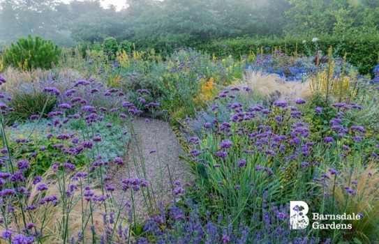 Barnsdale Gardens Barnsdale Gardens