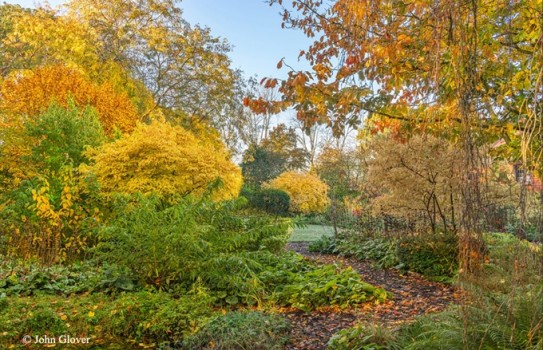 Bates Green Garden Autumn Colours
