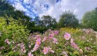 bath-botanic-garden.jpg