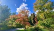 bath-botanic-gardens-bath-city.jpg