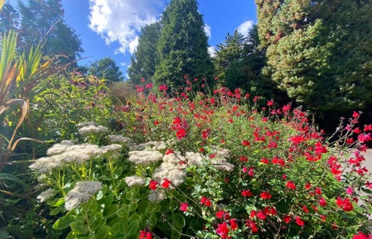 Bath Botanical Gardens