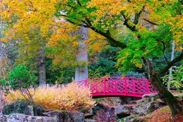 Batsford Arboretum Autumn