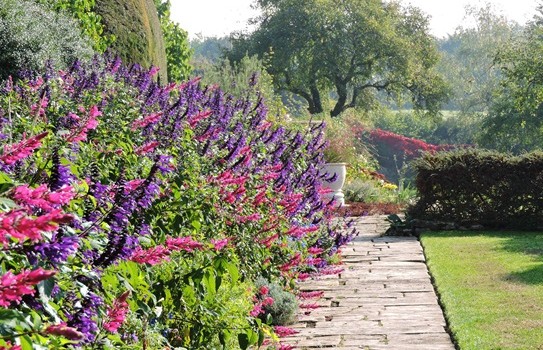 Great Chalfield Manor Garden