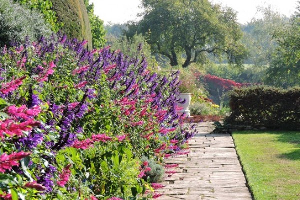 Great Chalfield Manor Garden
