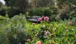 belmont-house-garden.jpg