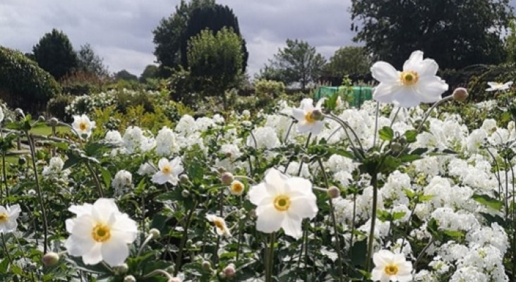 Belmont House & Gardens, Faversham