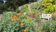 beningbrough-hall-gardens-york.jpg