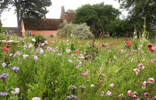 Benton End Garden