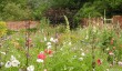 benton-end-gardens-4.jpg