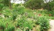 benton-end-gardens.jpg