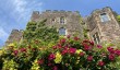 berkeley-castle-roses.jpg