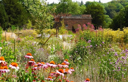 Berrington Hall Flower Gardens