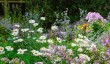 best-gardens-yorkshire.jpg