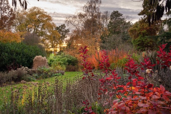 Beth Chatto Gardens Autumn