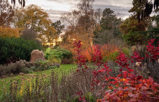 Beth Chatto Gardens Autumn