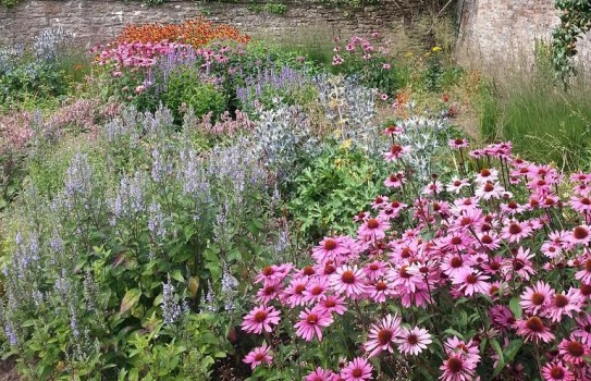 Bishop's Palace Garden, Wells