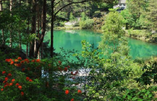 The Blue Pool in Dorset