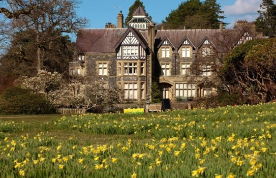 Bodnant Garden Daffodils Bodnant Garden Daffodils