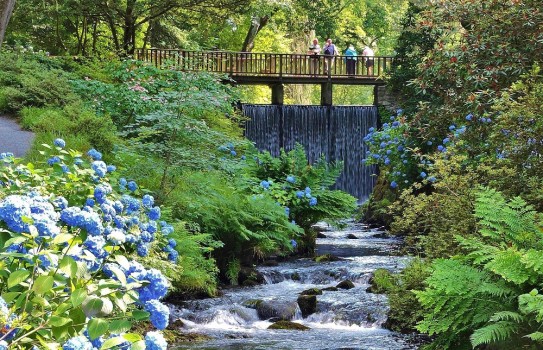 Are Dogs Allowed in Bodnant Gardens 