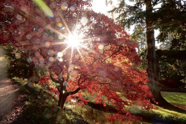 Bodnant Gardens Autumn