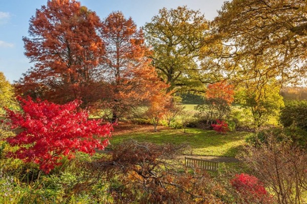Borde Hill Gardens Autumn