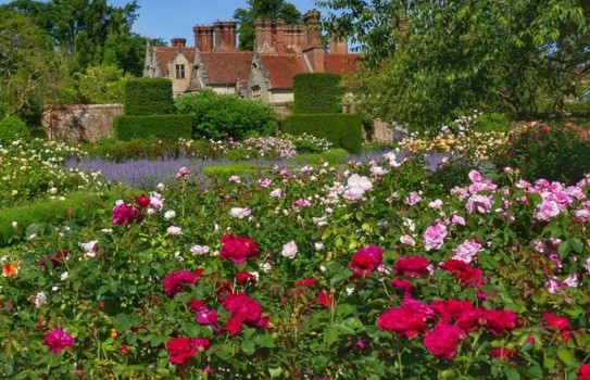 Borde Hill Rose Gardens