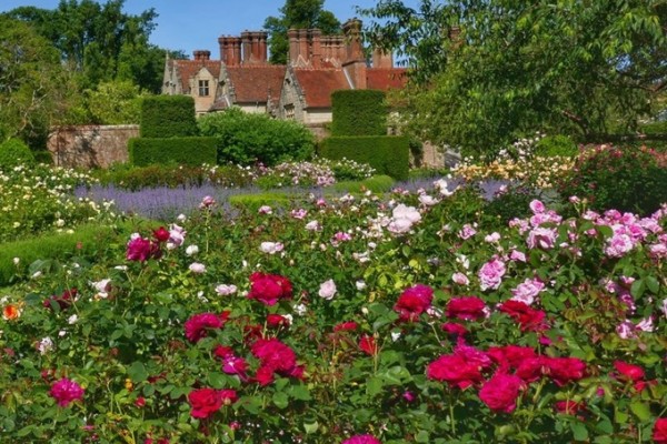 Borde Hill Rose Gardens