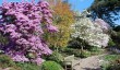 botanical-garden-birmingham.jpg