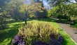botanical-gardens-in-bath.jpg