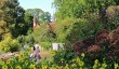 botanoic-garden-oxford-late-summer.jpg