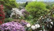 branklyn-garden-perthshire.jpg