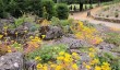 brodsworth-hall-rock-gardens.jpg