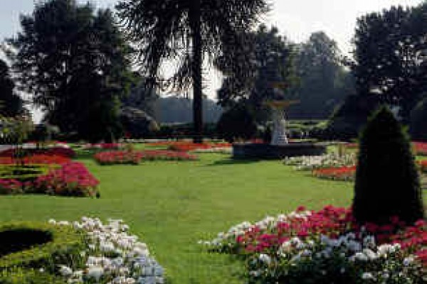 Brodsworth Hall Garden 