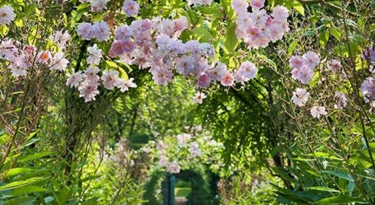 Carolside Garden