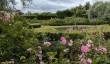 castle-howard-garden-roses.jpg