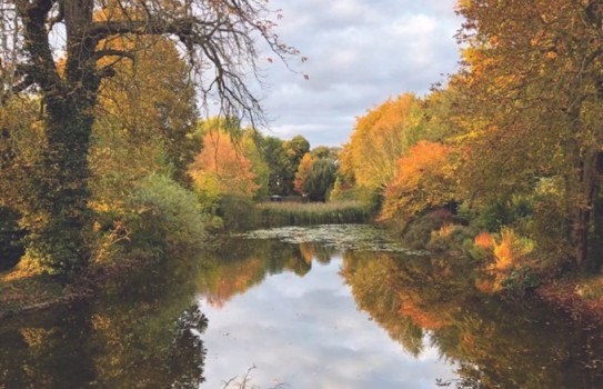 Chippenham Park Autumn