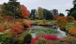 cholmondeley-gardens-autumn.jpg