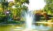 cliveden-japanese-garden.jpg