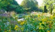 cliveden-long-border.jpg