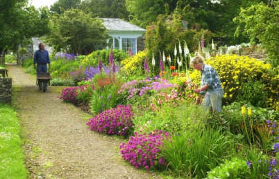 Clovelly Court Gardens